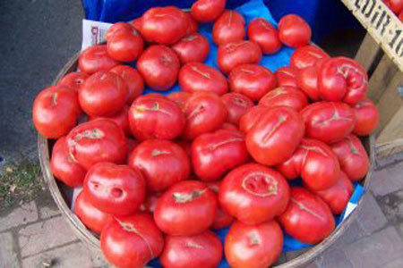 150 yıl sonra yeniden hayat buldu  - Resim: 3