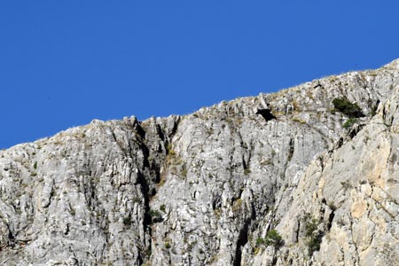 Paraşütle atlayan ABD'li öldü - Resim: 2