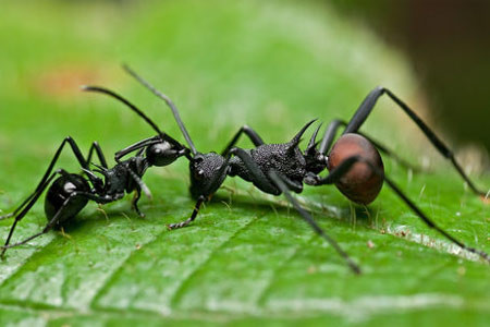 Bunları biliyor muydunuz? - Resim: 2