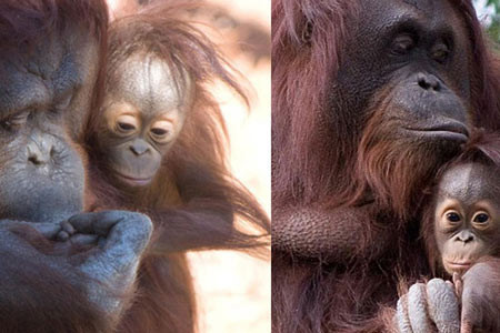 Günün en çok tıklanan kareleri - Resim: 3