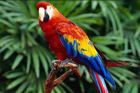 Bunları yapmayan Türk var mı? - Resim: 4