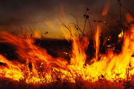 İşte cehennemde çekilecek azap! - Resim: 4