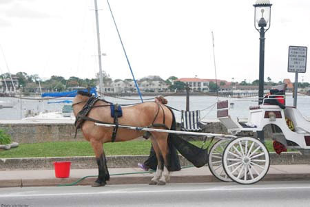 Photoshopsuz olduklarına inanmak çok zor! - Resim: 2