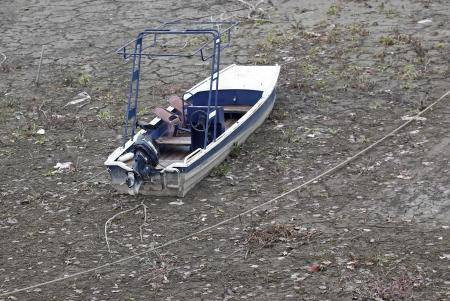 Avrupa'yı dehşete düşüren fotoğraf - Resim: 2
