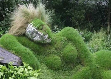 İnternetin tıklanan fotoğrafları - Resim: 4