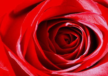 Kadını vuran 12 cümle - Resim: 3