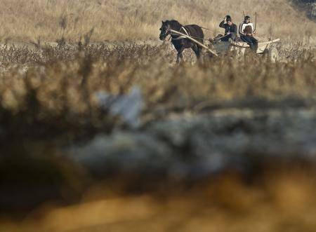 Avrupa'yı dehşete düşüren fotoğraf - Resim: 4