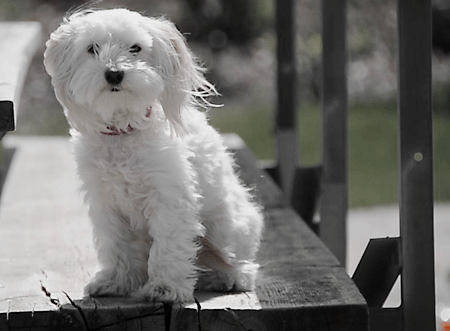 Bu fotoğraflar kıpır kıpır - Resim: 2