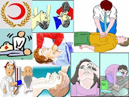 Ehliyet sınavında komik sorular - Resim: 2