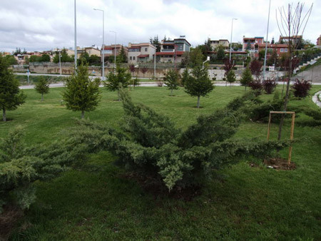 Akyurt'tan kareler - Resim: 4