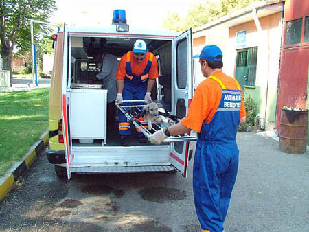 Altındağ Belediyesi'nden bir ilk - Resim: 3