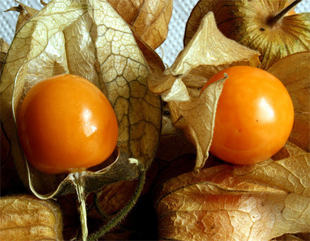 Erdoğan bu meyvenin abonesi - Resim: 1