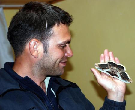 Dev kelebekler korkutuyor! - Resim: 3