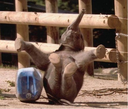 Gülümseyin çekiyorum... - Resim: 2