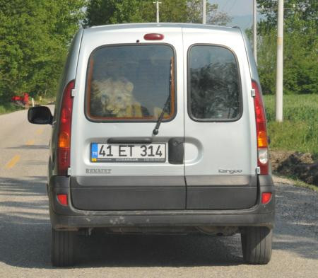 Jandarmanın gözlerine inanamadığı an! - Resim: 4