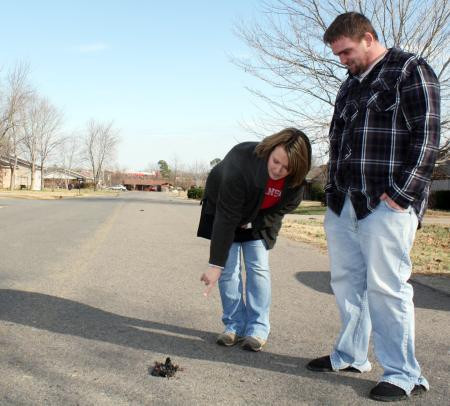 Ölü kuşlar neyin habercisi? - Resim: 1