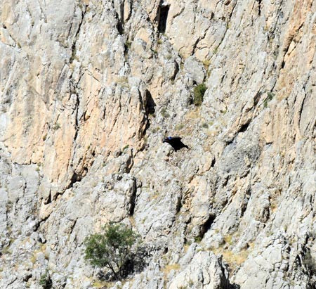 Paraşütle atlayan ABD'li öldü - Resim: 4