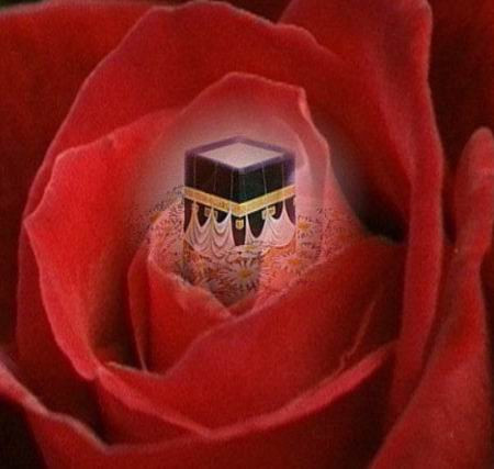 O uykuyu ölüm sayan bir insandı! - Resim: 3