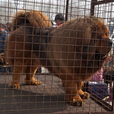 Bu iş şakaya gelmez sadece oyun oynamak istemişti ama... - Resim: 3