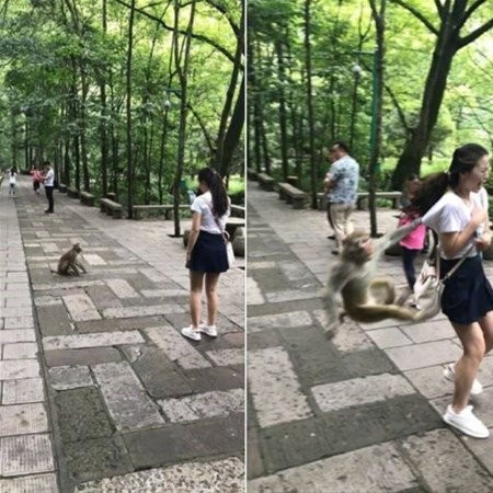 Bu fotoğrafın 1 saniye sonrası çok fena - Resim: 4