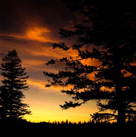 Cehennem azabını en çok o çekecek! - Resim: 4