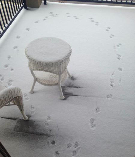 İçinizi donduracak 30 fotoğraf! - Resim: 2