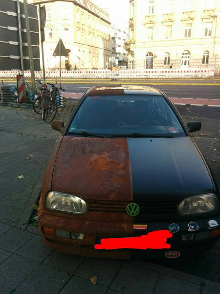 Cumartesi gününü neşelendirecek 60 fotoğraf - Resim: 1