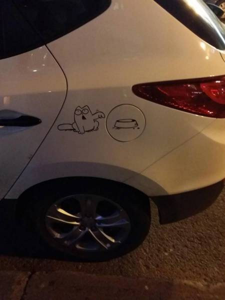 Pazartesi sendromuna 60 harika fotoğraf - Resim: 3