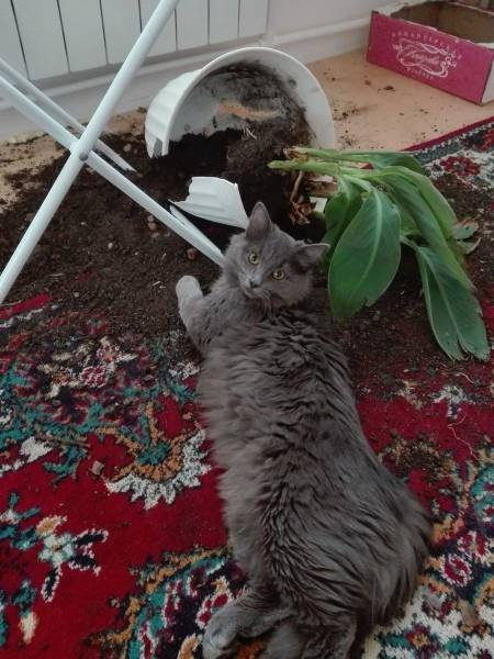 Bu fotoğraflar sizi şoke edecek!  - Resim: 2