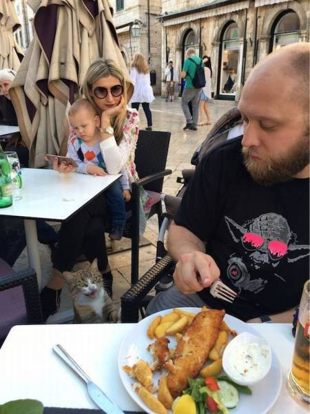 Bu insanlar çıldırmış olmalı - Resim: 3