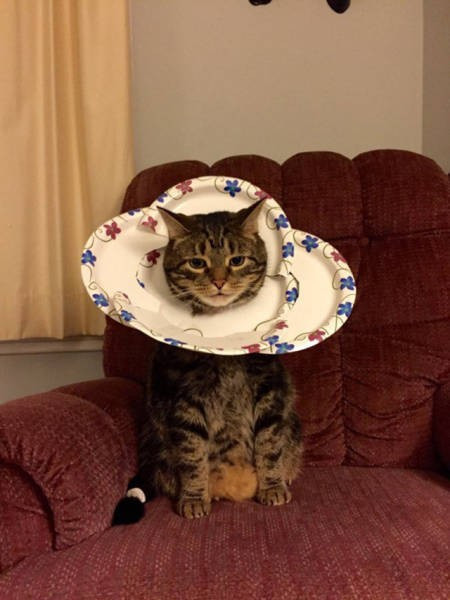 Sorun varsa çözüm de var diyen çılgınlar! - Resim: 1