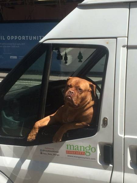 Günün en ilginç fotoğrafları - Resim: 1