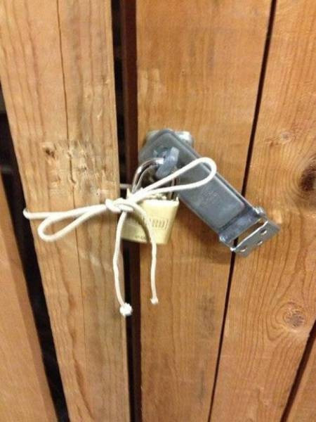 Günün en eğlenceli 45 fotoğrafı - Resim: 4