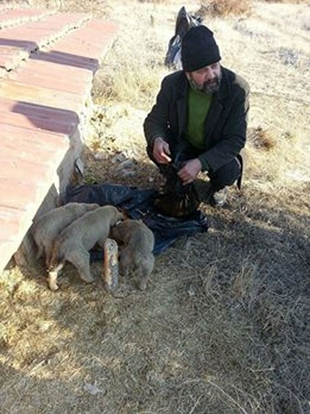 25 yıldır sokak hayvanlarını besliyor hem de borçlanarak - Resim: 4