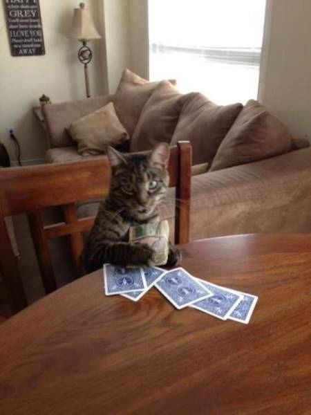 Kimse onu görmez zannetti ama öyle bir yakalandı ki... - Resim: 1