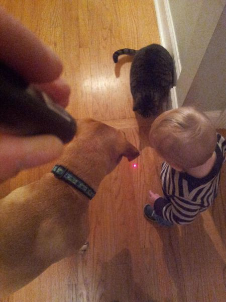 2013 yılının en çok paylaşılan fotoğrafları - Resim: 3