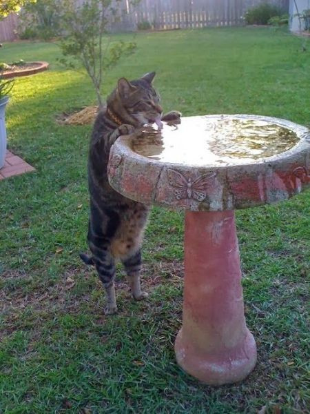 İçinizi ısıtacak 50 fotoğraf! - Resim: 3