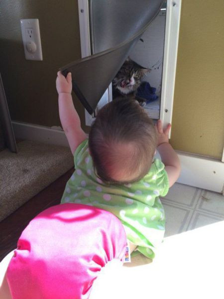 Dünyadan en çılgın fotoğraflar - Resim: 4