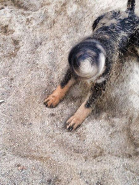 İçinizi ferahlatacak 50 fotoğraf! - Resim: 4