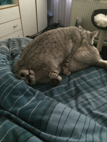 Haftanın en komik 50 fotoğrafı! - Resim: 1