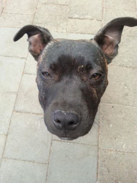 İki kere bakacağınız fotoğraflar.. - Resim: 4