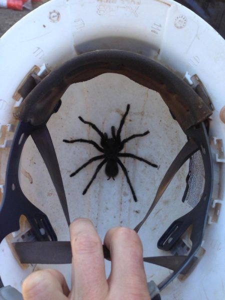 Günün en ilginç kareleri - Resim: 2