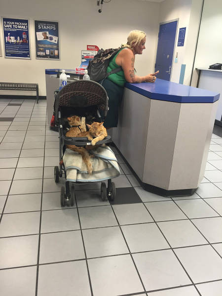 Günün en sevilen 40 fotoğrafı - Resim: 2