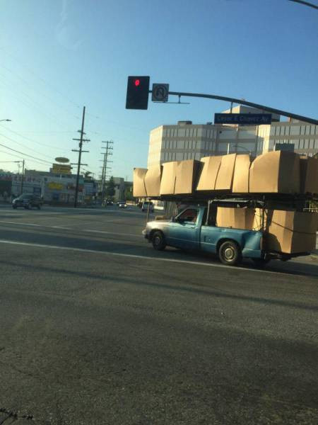 Günün en havalı 40 fotoğrafı - Resim: 4