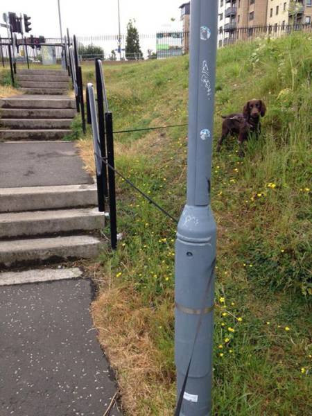 Günün en çok ilgi çeken fotoğrafları - Resim: 1