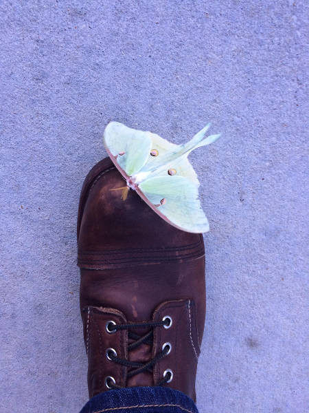 Günün en ilginç fotoğrafları - Resim: 1