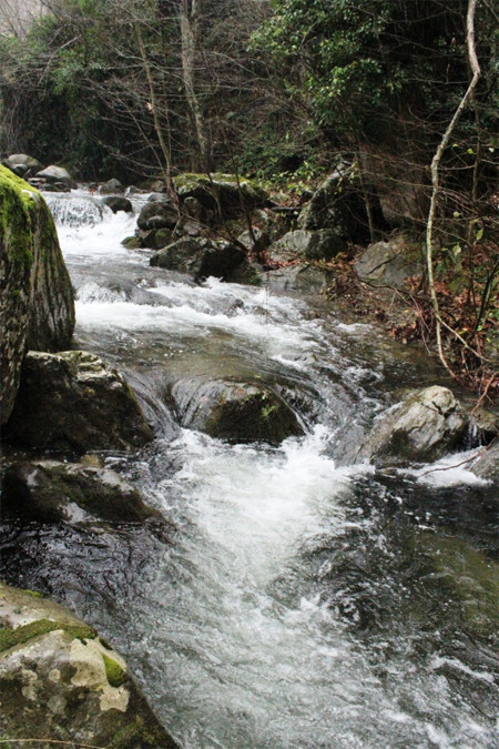 Dört mevsim bir arada yaşanıyor - Resim: 2