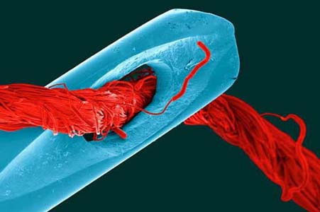 İnsanların göremedikleri! - Resim: 4