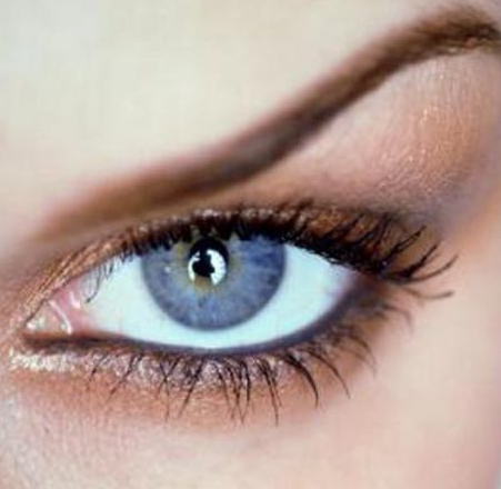 İnsanlığı şok eden gerçekler!  - Resim: 1