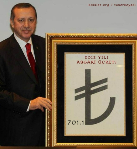 TL'nin simgesiyle bölge dalga geçtiler - Resim: 2